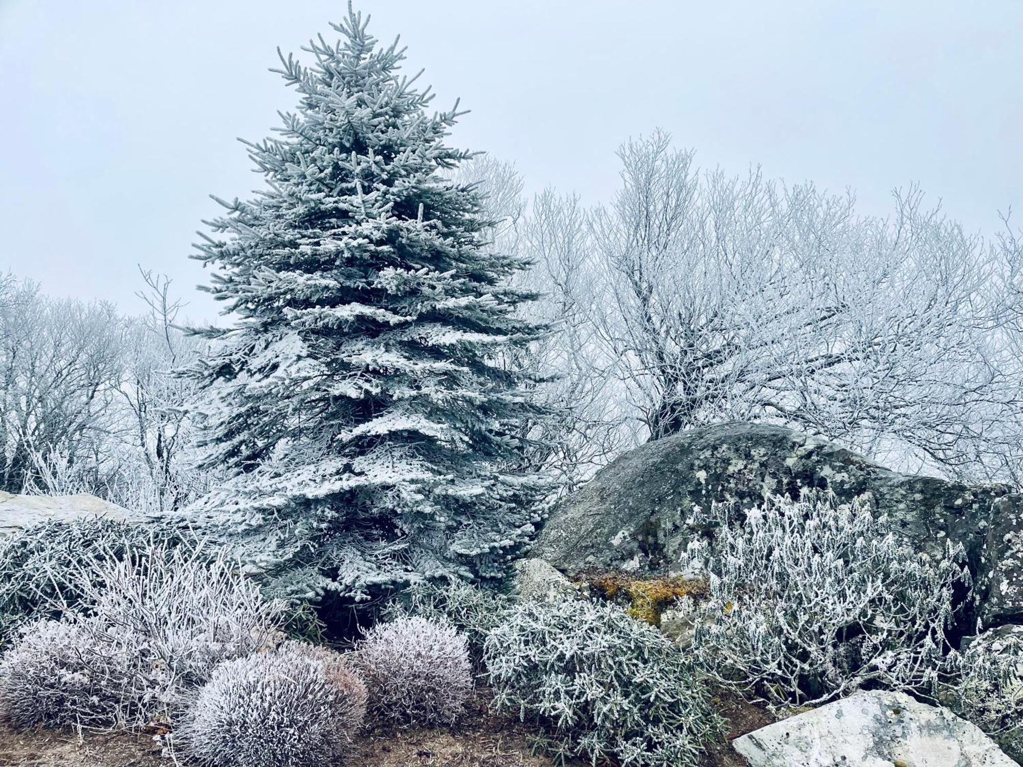 Bucket List Views Sugar Mountain Private Condo - 2Bed, 2Bath, Sleeps 6, Panoramic Views Of Mountains From Large Deck, Short Drive To Shopping, Restaurants, Cafes & Banner Elk Town Extérieur photo